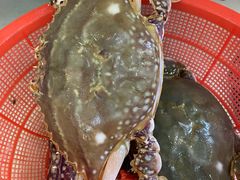 -港畔赶海蒸汽海鲜烧烤自助(仙螺岛店)