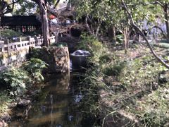 -上海醉白池公园