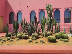 -漳州滨海火山岛自然生态风景区
