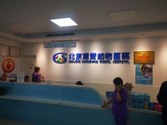 -北京观赏动物医院·24小时大型综合·猫专科·异宠专科
