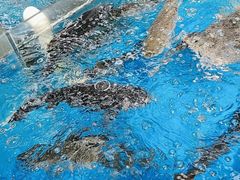 -物美超市(通州梨园店)