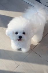 -润复丝·泽发防脱头皮管理