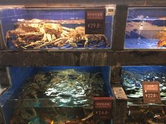水产区-徐记海鲜·宴会(大唐西市|丰庆店)