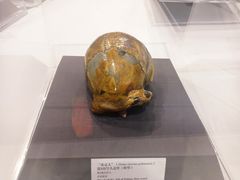 -北京周口店北京人遗址博物馆