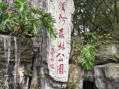 -广州市流溪河国家森林公园