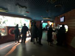 -太平洋海底世界