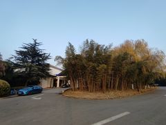 -春兰国宾馆(凤城河风景区老街店)