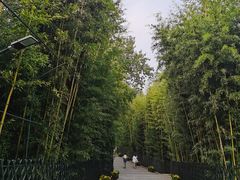 -红螺寺
