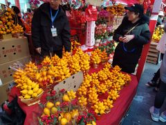 -越秀西湖花市(广州城市广场花卉店)