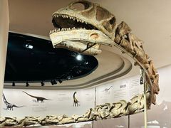 -自贡恐龙博物馆