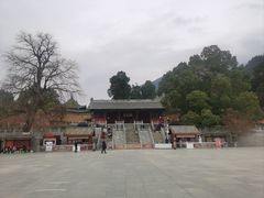 -报恩寺(平武县)
