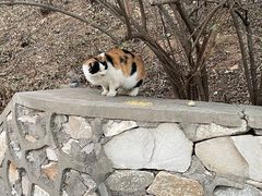 -北京西山国家森林公园