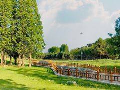 -棒棰岛宾馆景区