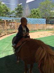 -萌宠亲子动物乐园(槐房万达店)