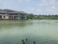 -林栖谷森林康养度假区