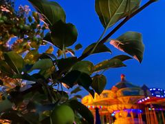 -长春市南湖公园