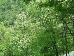 android_upload_pic-终南山南五台景区