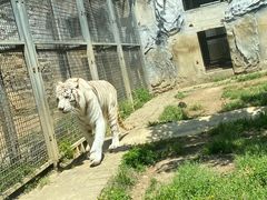 -黔灵山公园