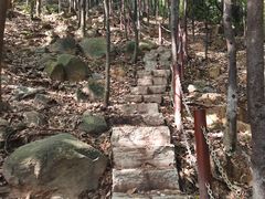 -火炉山森林公园
