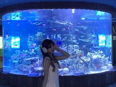 -左海海底世界