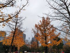 -重庆中央公园(渝北区)
