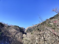 -泰山风景名胜区
