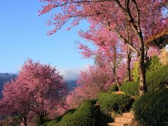 -无量山自然风景保护区