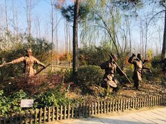 -合肥滨湖国家森林公园