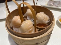 -金鼎轩(亚运村店)