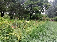 -元大都城垣遗址公园