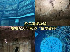-中国西峡恐龙遗迹园