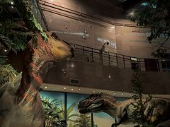 -湖南省地质博物馆