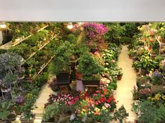 -双季花艺园艺市场(浦东店)