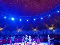 -塞罕坝国家级自然保护区