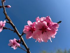 -白水寺森林公园