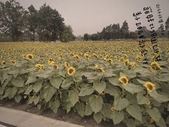 -中国天府农业博览园