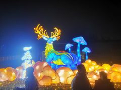 -武汉园博园(武汉自然博物馆)
