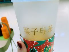 满杯太阳橙-叶子与茶(苏宁广场店)