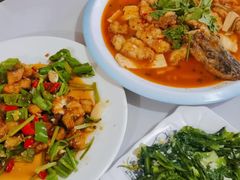 -煲来饱去冷水鱼