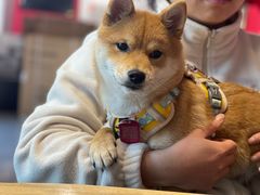 -听TA说宠咖·宠物生活馆(天韵水岸店)