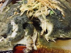 清蒸多宝鱼-北戴河庆山饭店·海鲜砂锅粥(北戴河黑石路店)