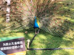 -昆明动物园