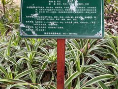 -广西壮族自治区药用植物园