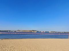 -呼兰河口湿地公园