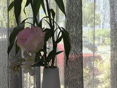 -楚鱼王·河鲜·湖北菜(华农店)