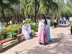 -洛阳市隋唐城遗址植物园