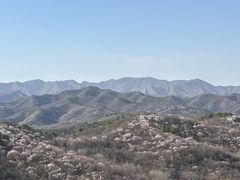 -普陀宗乘之庙(小布达拉宫)