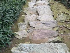 -冶父山国家森林公园
