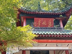 -MAMACHA妈妈茶(岳麓山店)