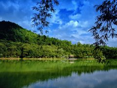 -广州白江湖森林公园